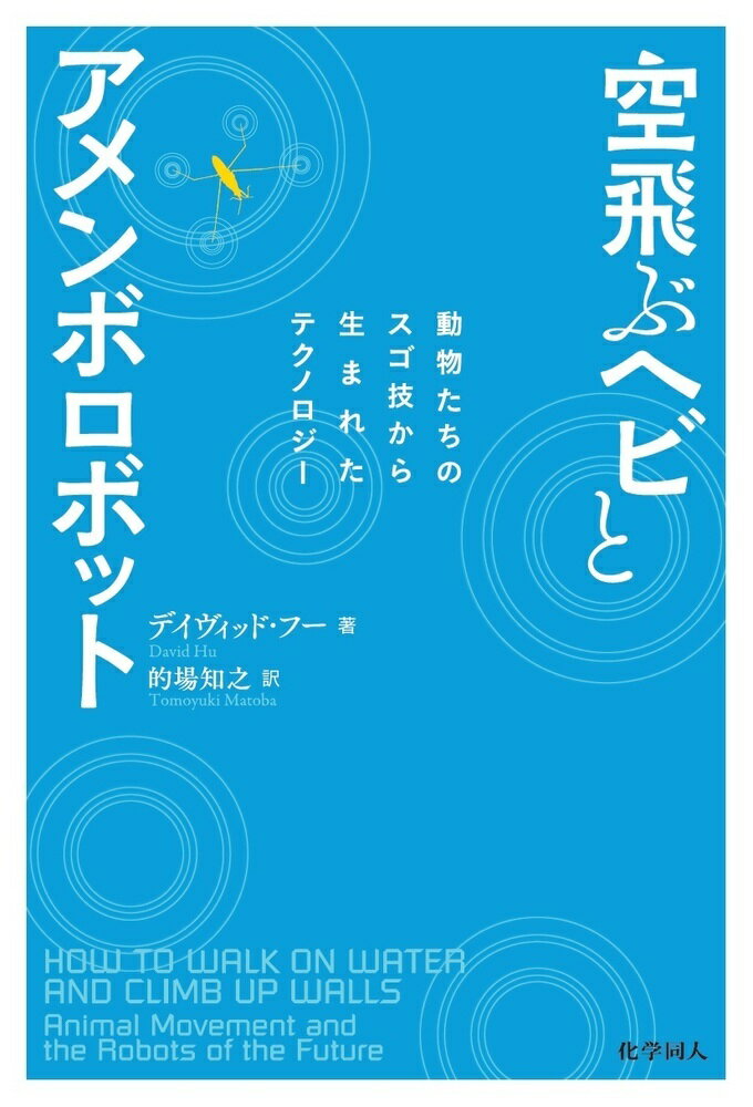 空飛ぶヘビとアメンボロボット