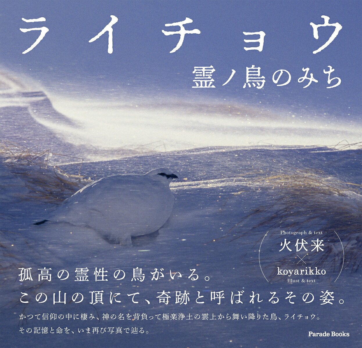ライチョウ 霊ノ鳥のみち