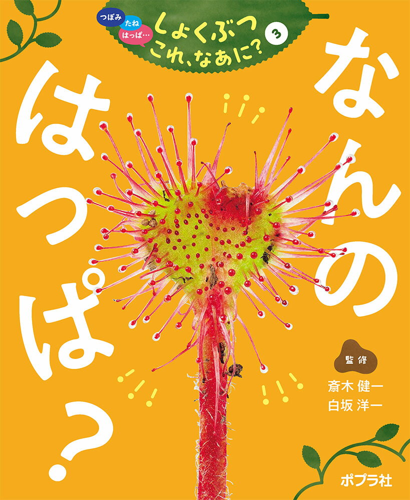 なんの　はっぱ？ （つぼみ・たね・はっぱ・・・　しょくぶつ　これ、なあに？　3） [ 斎木　健一 ]