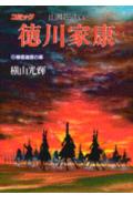 徳川家康（19（春雷遠雷の章））