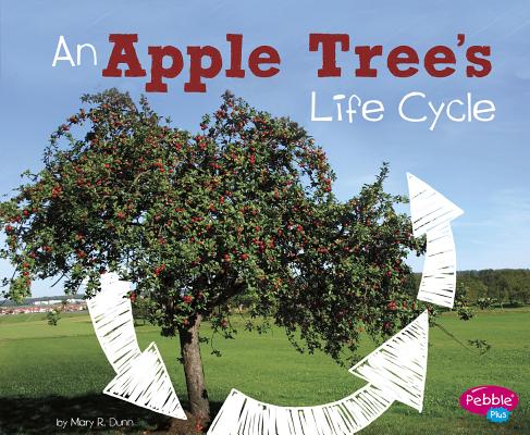 An Apple Tree's Life Cycle APPLE TREES LIFE CYCLE （Explore Life Cycles） [ Mary R. Dunn ]