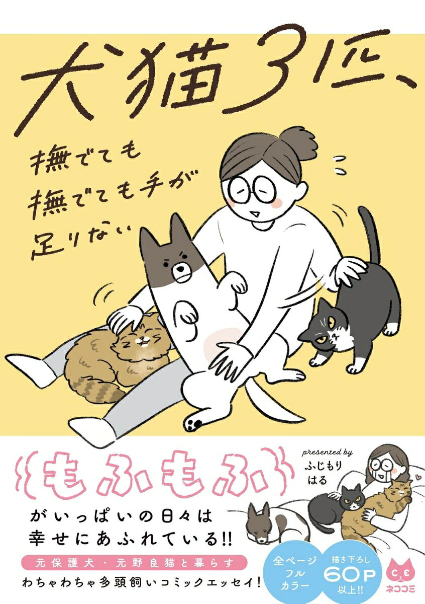 犬猫3匹、撫でても撫でても手が足りない