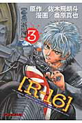 R-16（3）