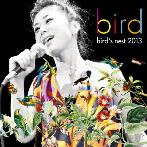 bird’s nest 2013 [ bird ]