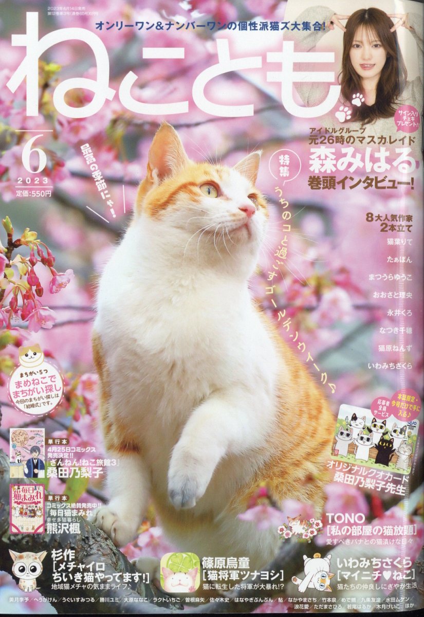 ねことも 2023年 6月号 [雑誌]