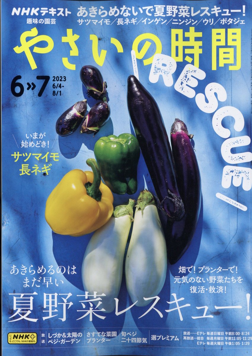 NHK 趣味の園芸 やさいの時間 2023年 6月号 [雑誌]