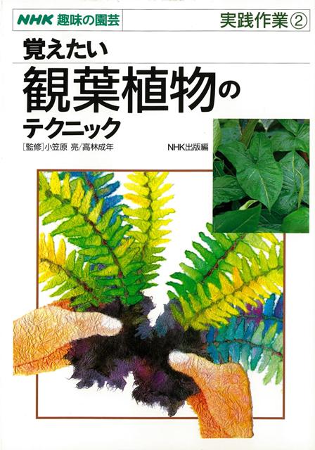 【バーゲン本】覚えたい観葉植物のテクニックー実践作業2