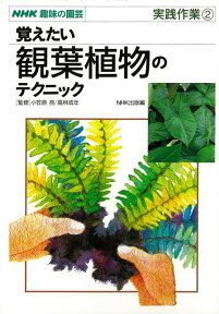 【バーゲン本】覚えたい観葉植物のテクニックー実践作業2 （NHK趣味の園芸・実践作業シリーズ） [ NHK出版　編 ]