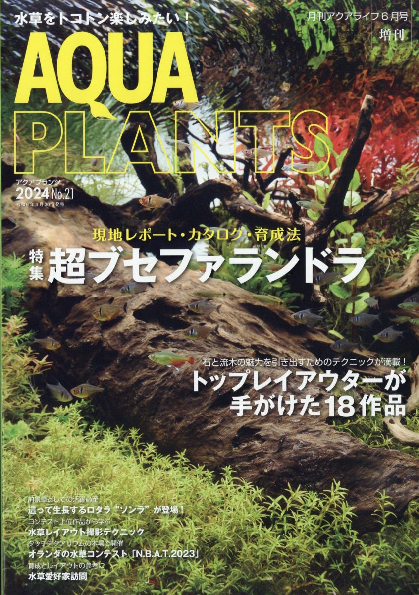 AQUA PLANTS (アクアプランツ) No.21 2024年 6月号 [雑誌]