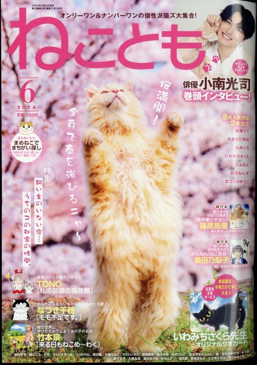 ねことも 2024年 6月号 [雑誌]