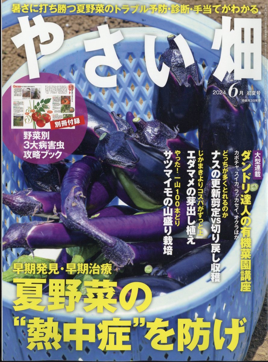 やさい畑 2024年 6月号 