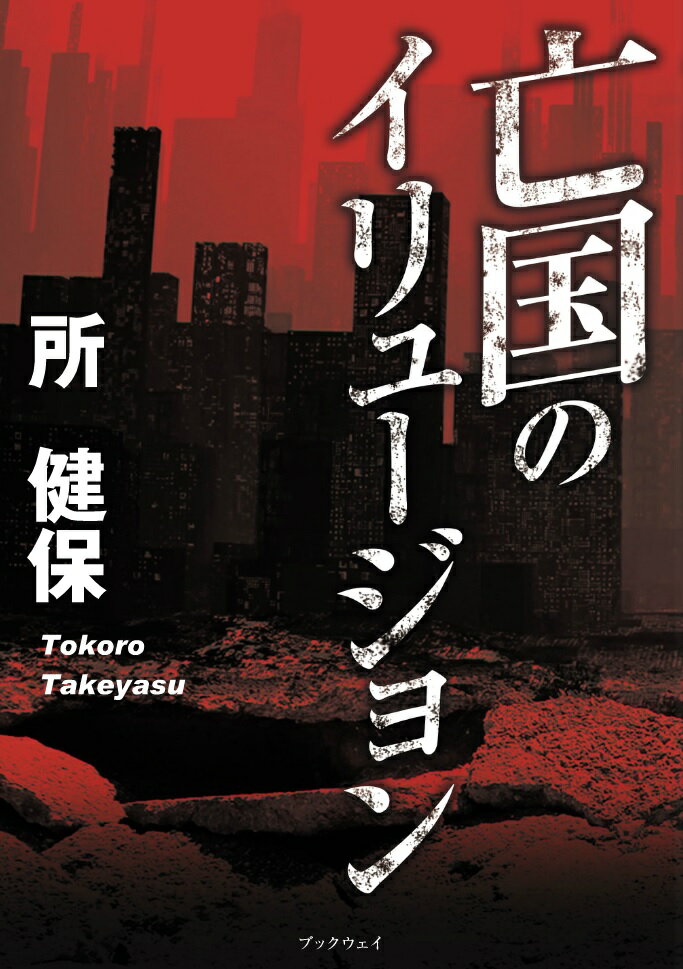 亡国のイリュージョン [ 所　健保 ]