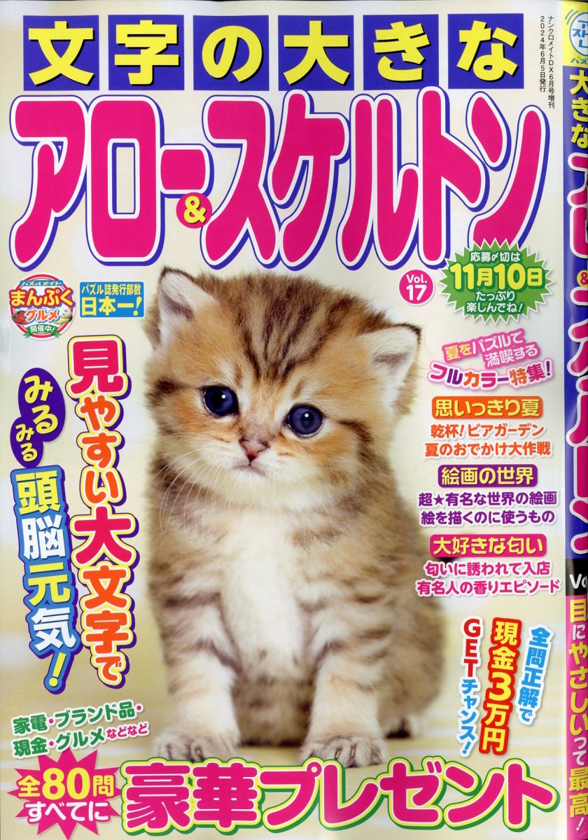 文字の大きなアロー&スケルトン 17 2024年 6月号 [雑誌]
