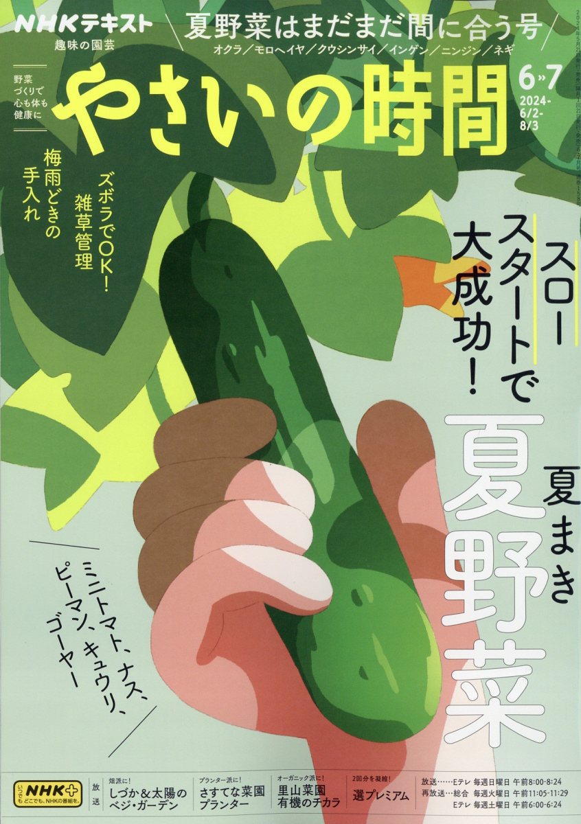 NHK 趣味の園芸 やさいの時間 2024年 6月号 [雑誌]