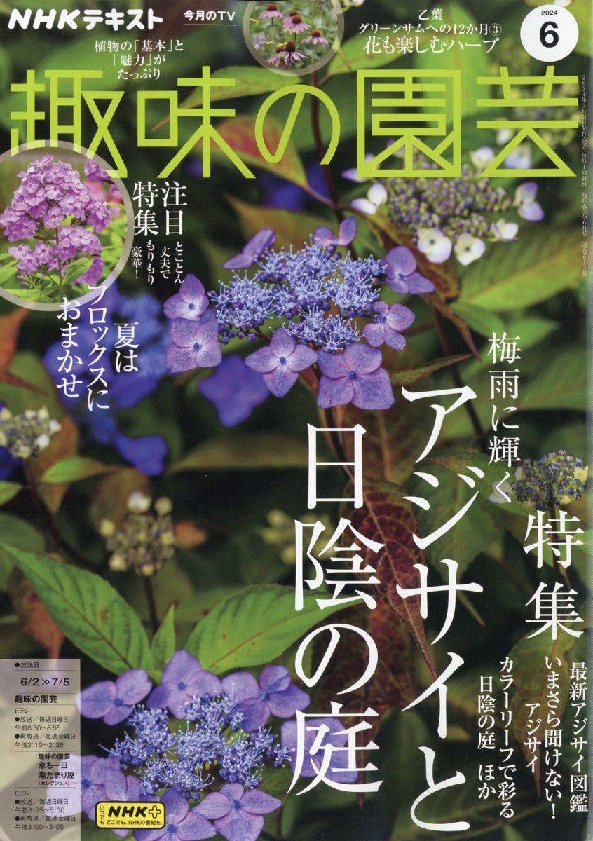 NHK 趣味の園芸 2024年 6月号 [雑誌]