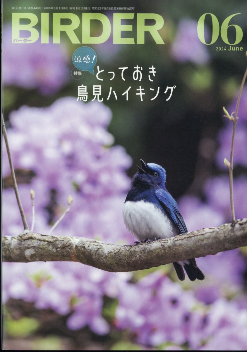 BIRDER (バーダー) 2024年 6月号 [雑誌]