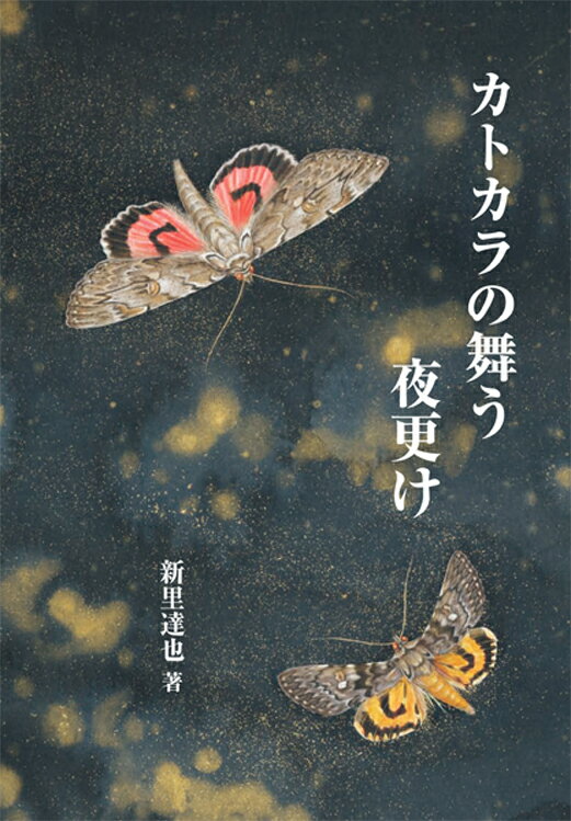 カトカラの舞う夜更け