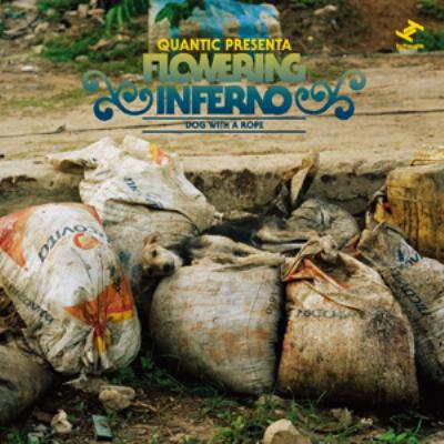 【輸入盤】Dog With A Rope [ Quantic Presenta Flowering Inferno ]