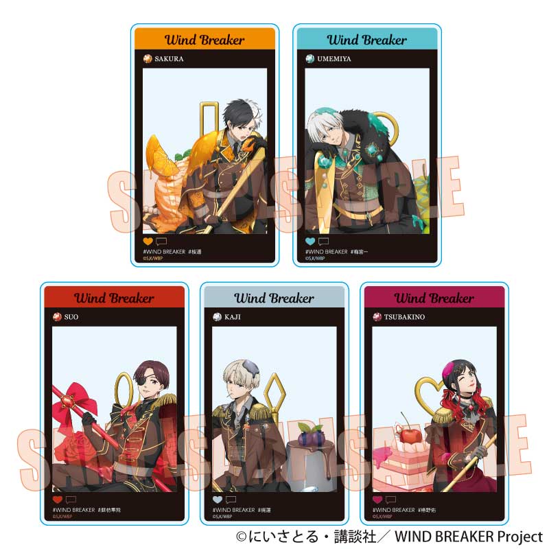 WIND BREAKER トレーディングアクリルカード ドルチェ