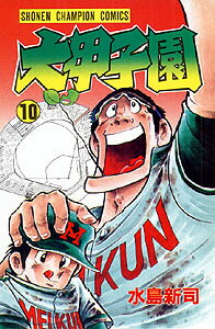 大甲子園（10） （少年チャンピオンコミックス） [ 水島新司 ]