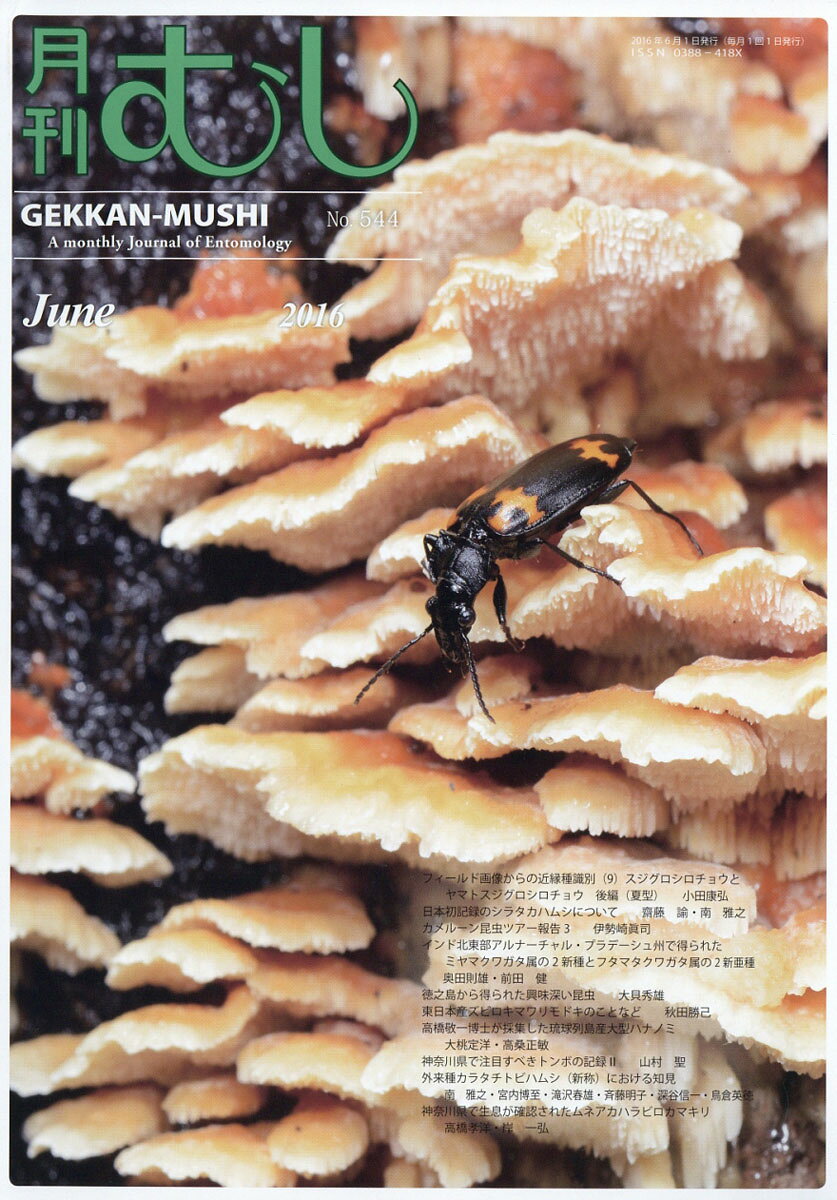 月刊 むし 2016年 06月号 [雑誌]
