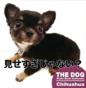 Chihuahua （The　dog　photo　book　collection） [ アーリストインターナショナル ]