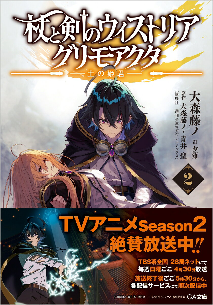 TVアニメも大人気のコミック『ウィストリア』原作者・大森藤ノ自らノベライズ第2弾！

知られざる《土の姫君》--コレットの秘話。 
異端の剣が絶望の運命を切り裂くーー!!