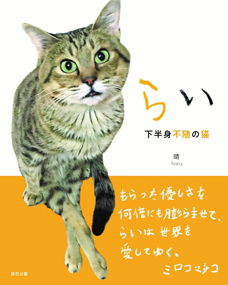 らい 下半身不随の猫