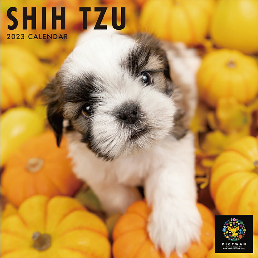 シー・ズー（2023年1月始まりカレンダー）