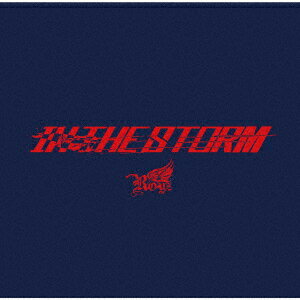 IN THE STORM (初回限定盤B CD＋DVD)