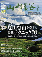 山と渓谷 2017年 06月号 [雑誌]