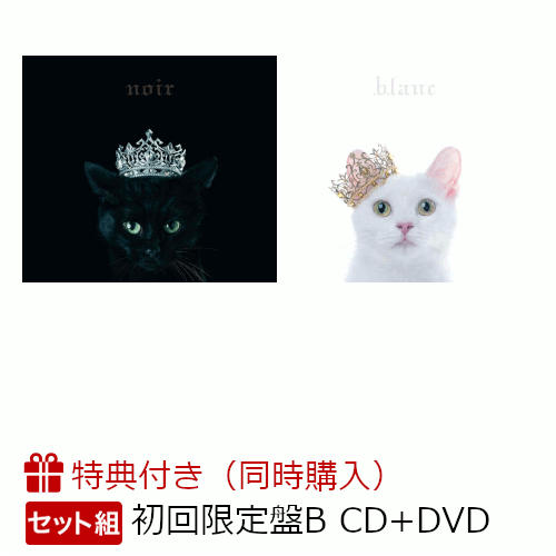 Aimer Bestアルバム おひとり様のピヨピヨブログ