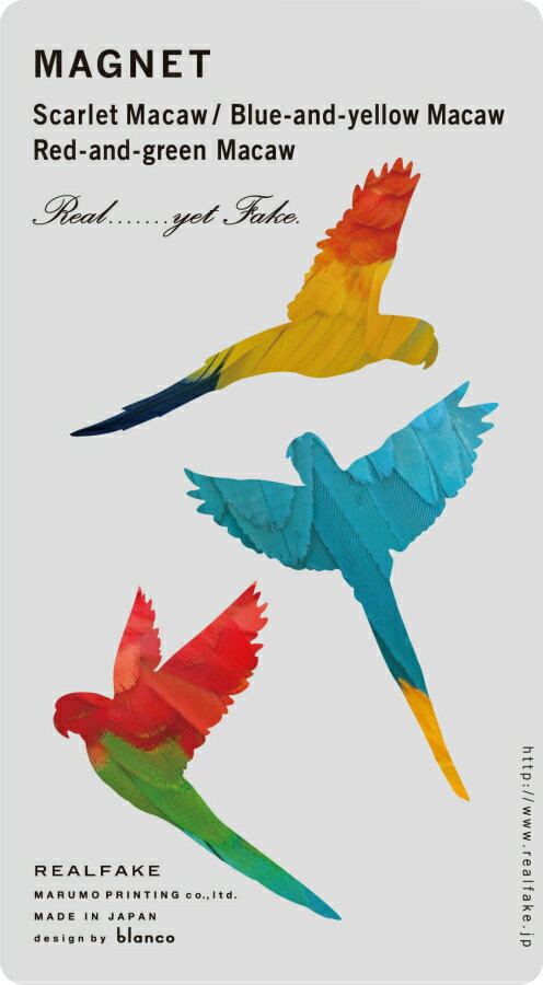 REALFAKE／マグネット　トロピカル MG-TR