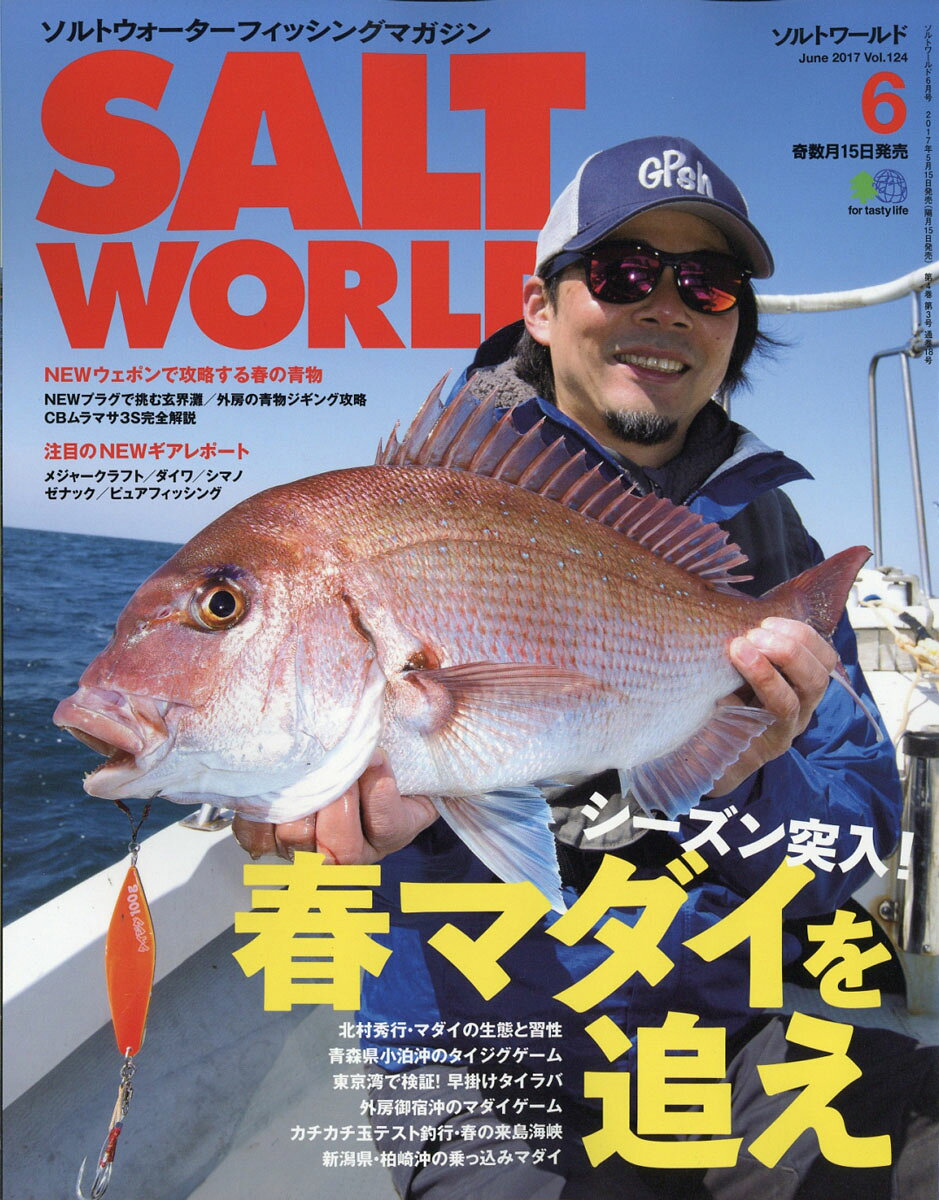 SALT WORLD (ソルトワールド) 2017年 06月号 [雑誌]