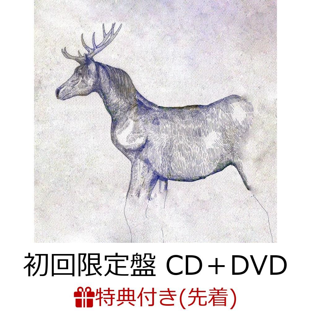 【先着特典】馬と鹿 (初回限定盤 CD＋DVD) (映像盤) (ラバーバンド付き)