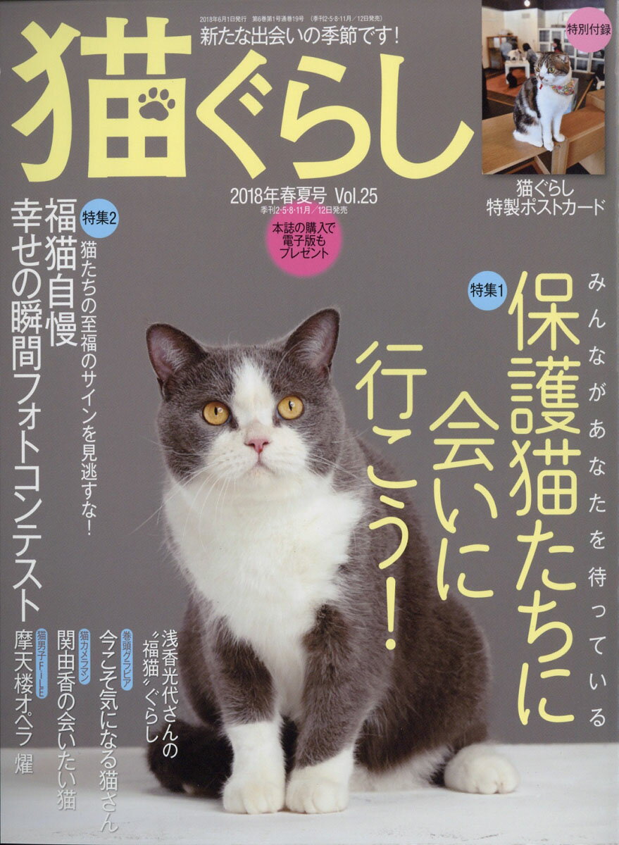 猫ぐらし 2018年 06月号 [雑誌]