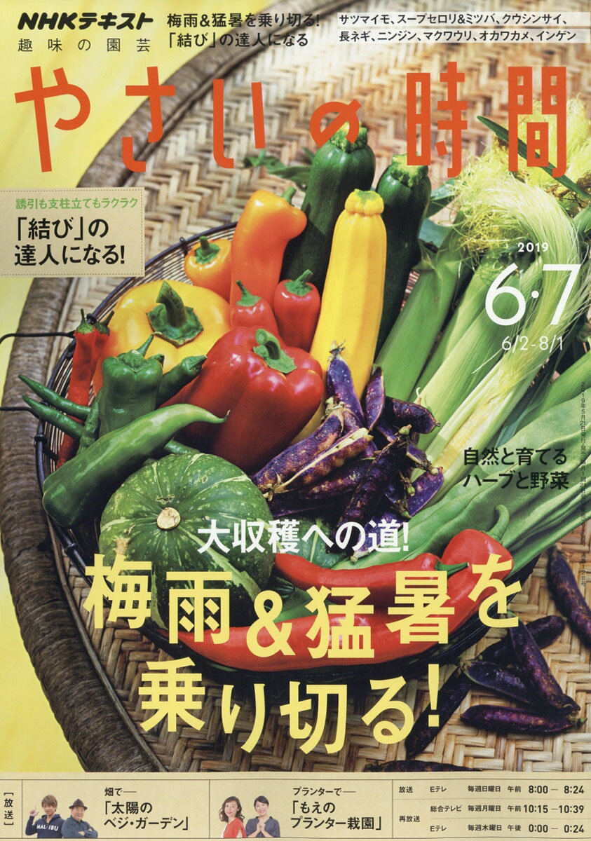 NHK 趣味の園芸 やさいの時間 2019年 06月号 [雑誌]