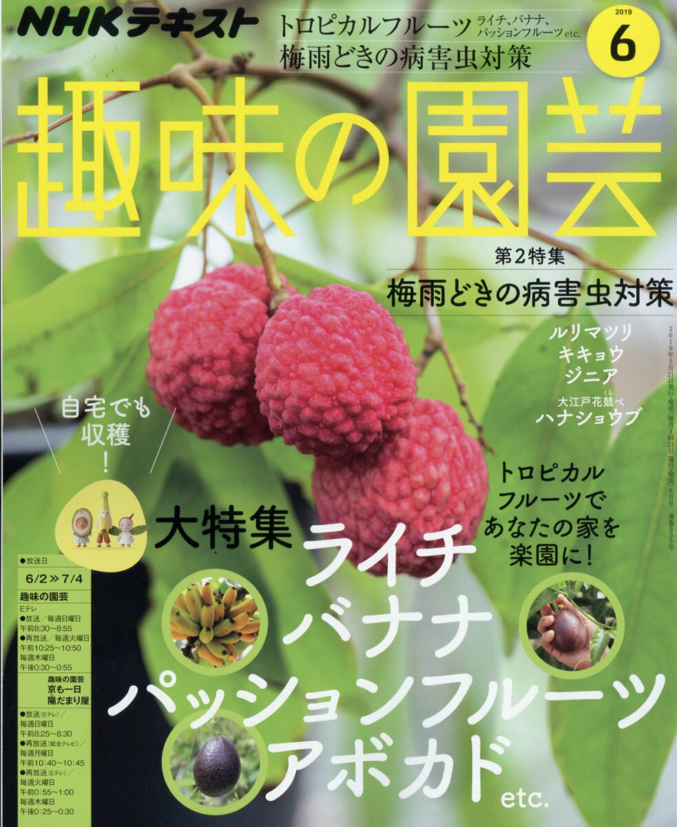 NHK 趣味の園芸 2019年 06月号 [雑誌]