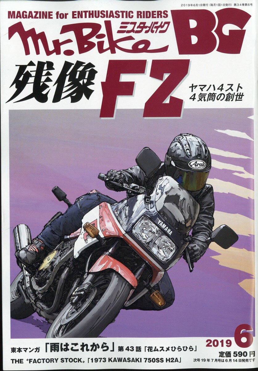 Mr.Bike (ミスターバイク) BG (バイヤーズガイド) 2019年 06月号 [雑誌]