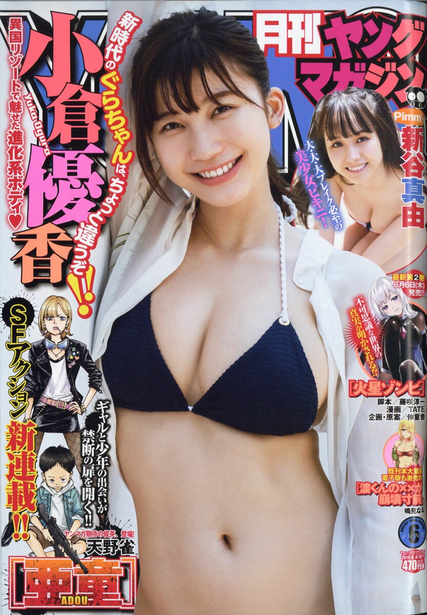 月刊ヤングマガジン 2019年 6/6号 [雑誌]