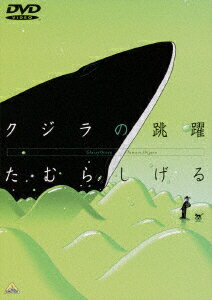 広告画像