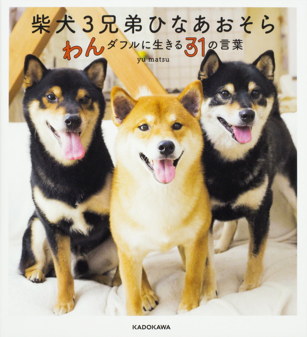 柴犬3兄弟　ひなあおそら わんダフルに生きる31の言葉 [ yu matsu ]