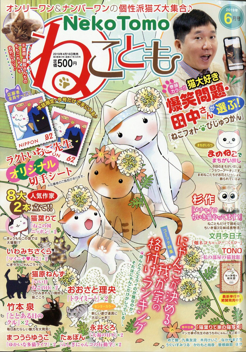 ねことも 2019年 06月号 [雑誌]