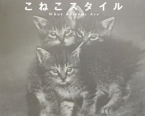 こねこスタイル