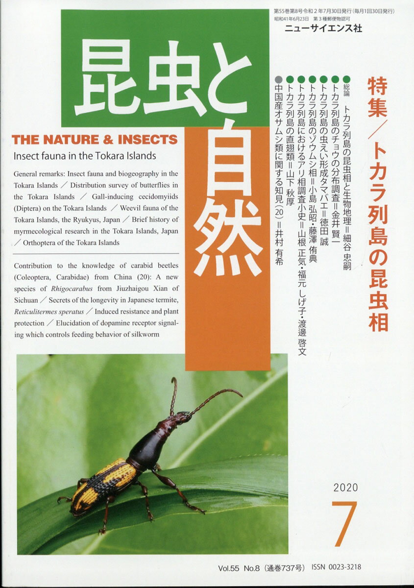 昆虫と自然 2020年 07月号 [雑誌]
