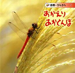 おかえりあかとんぼ