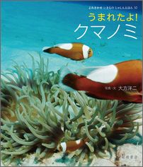うまれたよ！ クマノミ