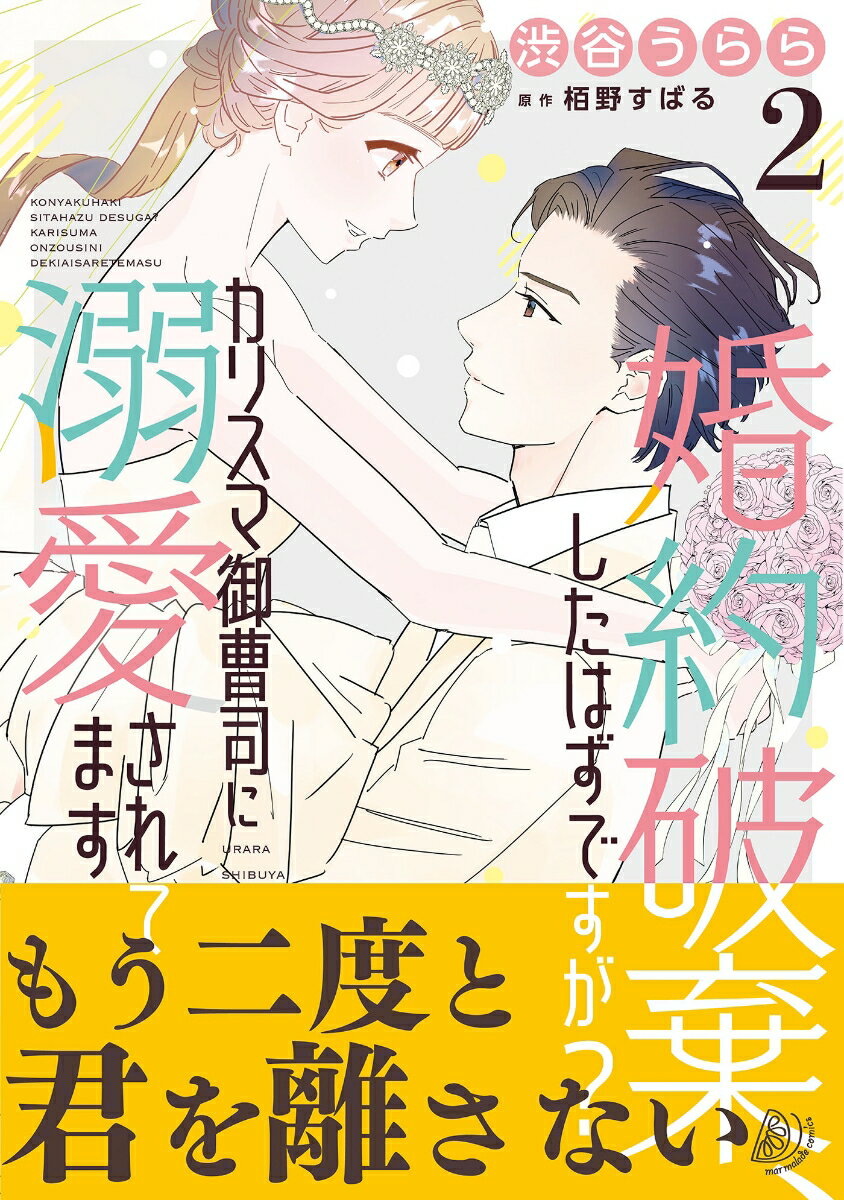 婚約破棄、したはずですが？〜カリスマ御曹司に溺愛されてます〜2