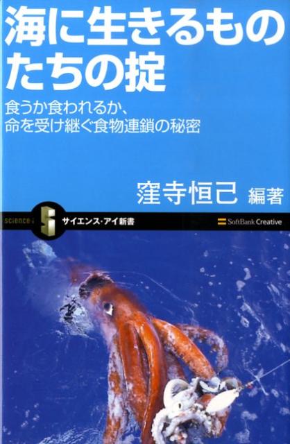 海に生きるものたちの掟