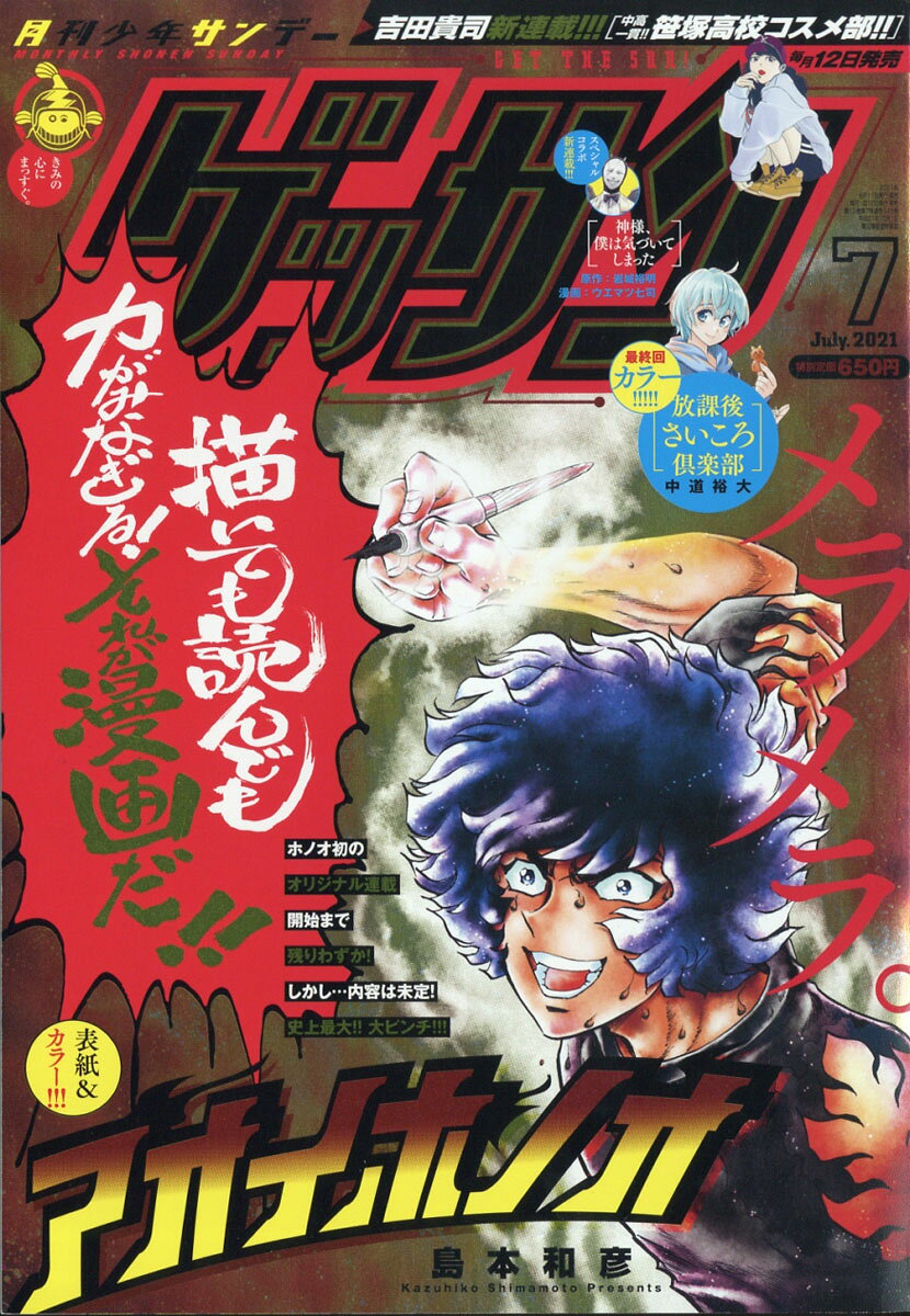 ゲッサン 2021年 07月号 [雑誌]